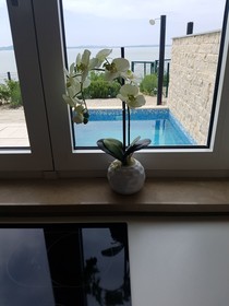 Villa Miri