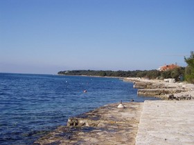 Villa ibis