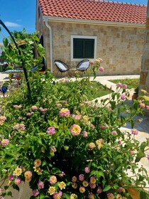 Beach House Calendula