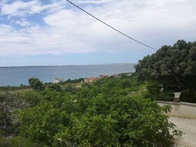 Moja Ane
