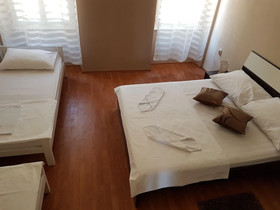 Hostel Morcic