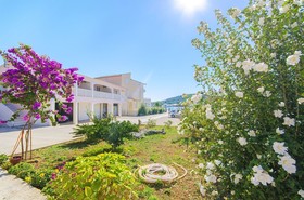 Apartments Ante