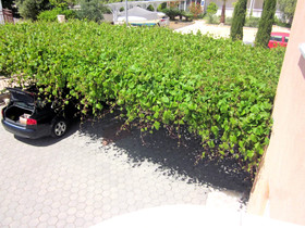 Apartments Antea