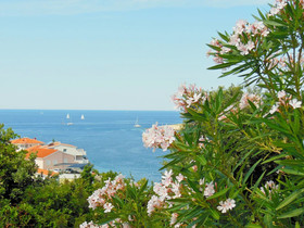 Apartments Antun