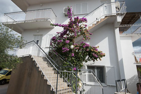 Apartments Marko