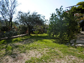 Apartments Marko