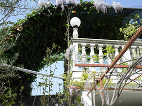 Apartments Miodrag