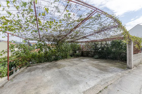 Apartments Miodrag