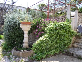 Apartments Miodrag