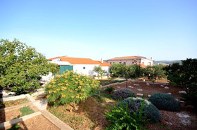 Apartments Mirta
