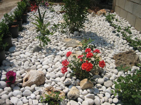 Apartments Sinisa