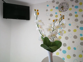 Apartments Sirius Rogoznica