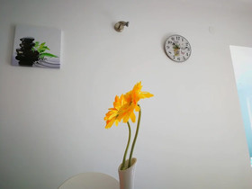 Apartments Sirius Rogoznica