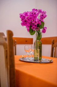 Apartments Zdravko