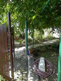 Apartments Zivana