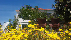 House Sahara
