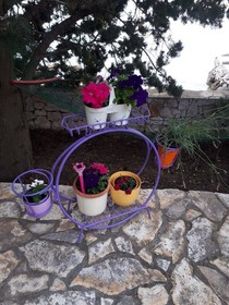 House Sanja - Vanja