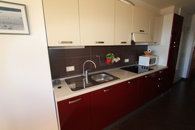 Apartments Robic