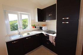 Apartments Robic