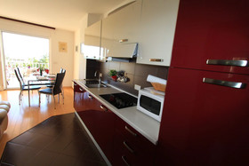 Apartments Robic