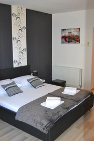 Apartment Ljubica