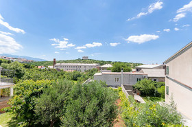 Apartments Cvita