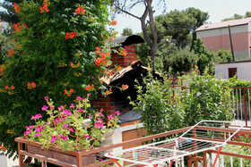 Apartments Cace