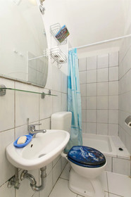 Apartments Senka