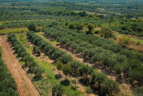 House Manda Adriatic