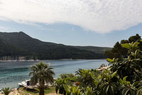 Apartments Bujak