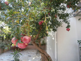 Apartments Cordis
