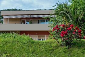 Apartments Emi