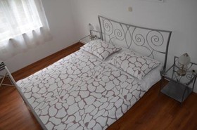 Blue Tree Rooms