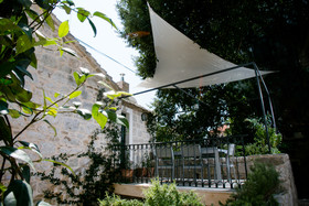 Divota