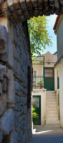 Divota