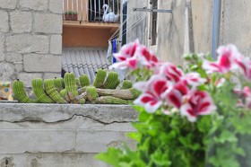 Guest House Stagnja