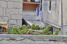 Guest House Stagnja