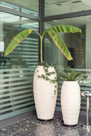 Hotel Mondo