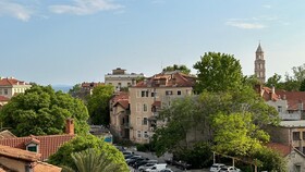 Iris Oasis