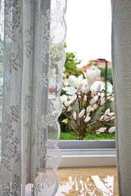 Magnolia Luxury Apartments