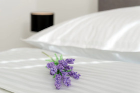Royal Luxury Apartments