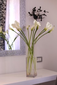 Starlight Luxury Rooms