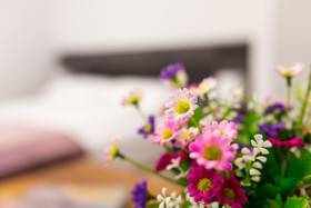 Starlight Luxury Rooms