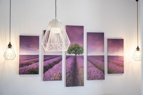 Studios & Room Poesia