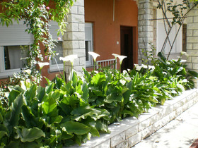 Vila Marija