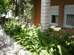 Vila Marija