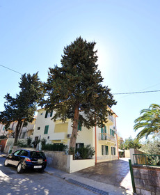 Villa Vice