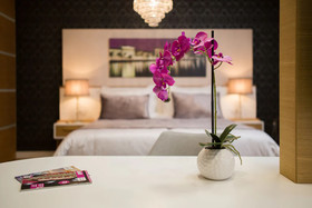 Vip Rooms