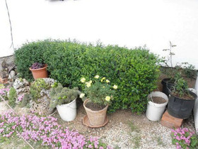 Apartment and Rooms Mila