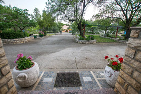 Apartments Adriana